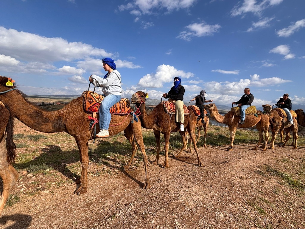 WhatsApp Image 2026-07-16 at 19.25.30 (2).jpeg
